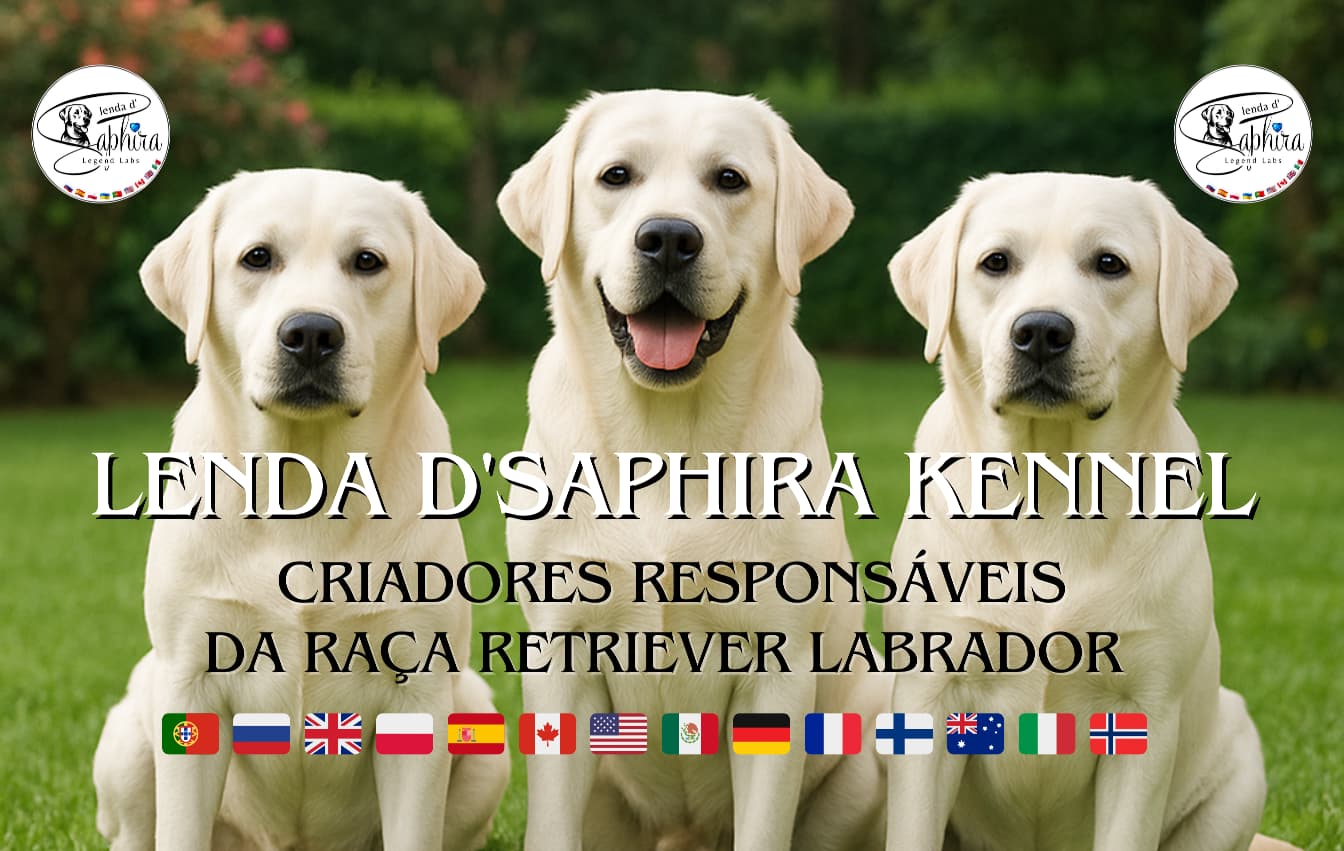 Imagem WhatsApp 2025-08-13 às jhgjhghb17.09.33_47c2c0f4