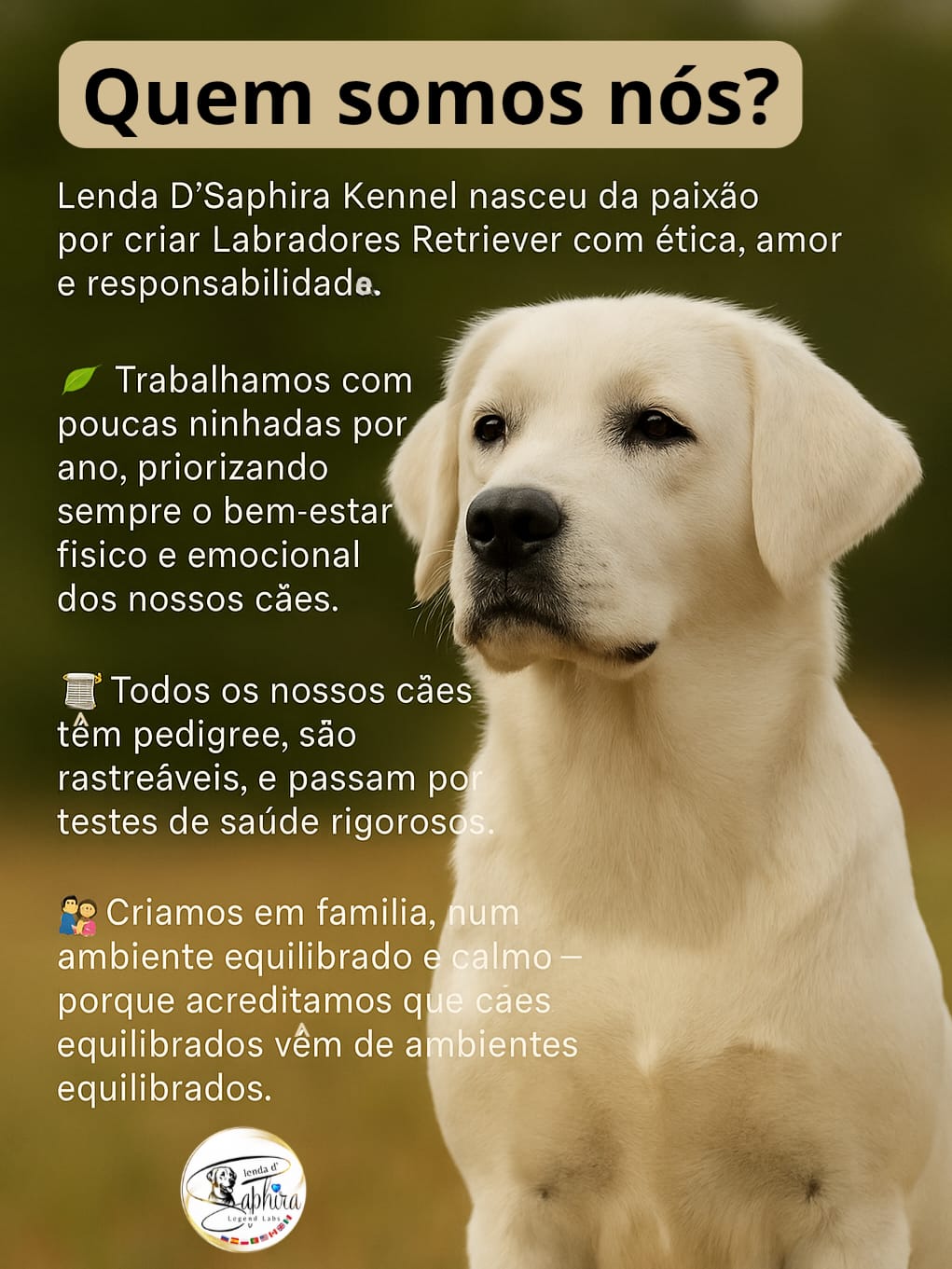 Imagem jhgjhgb WhatsApp 2025-08-13 às 17.51.31_c66ca60e