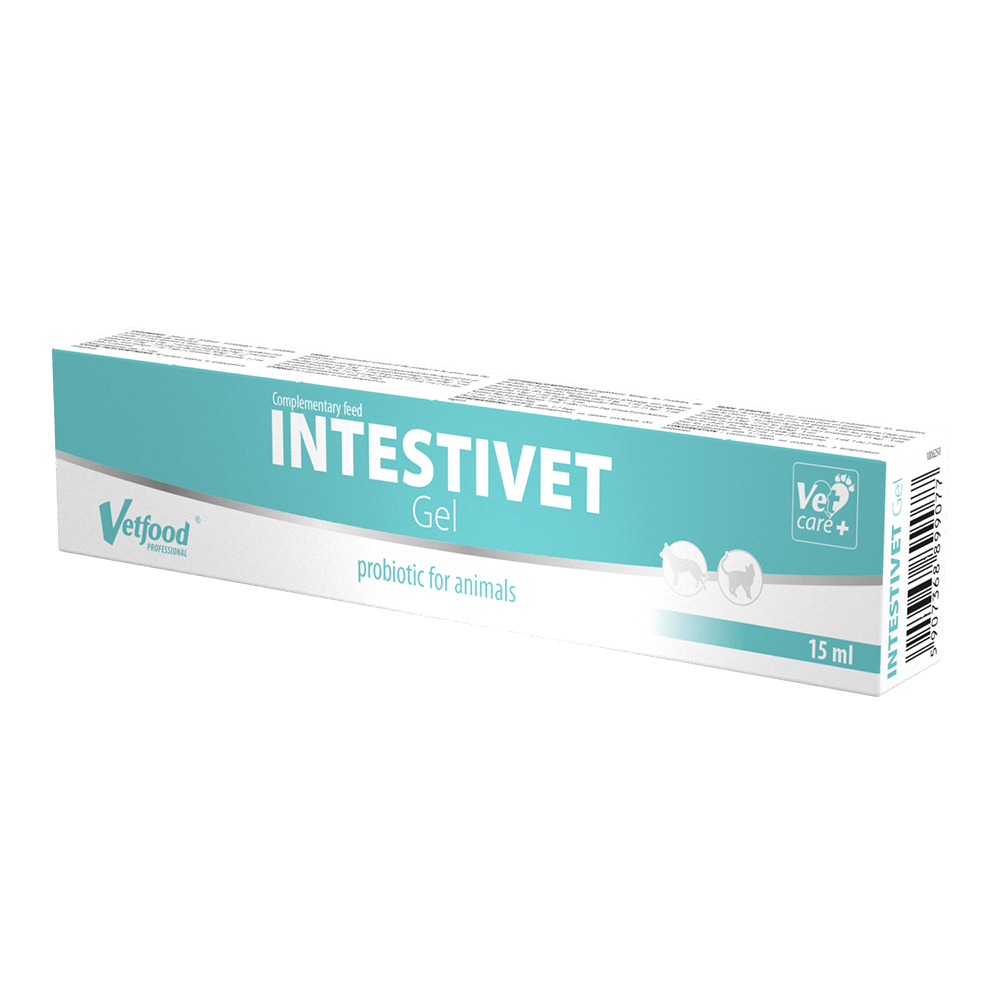 suplemento-alimentar-para-caes-e-gatos-intestivet-gel-vetfood
